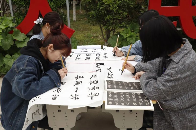 便于结合栏目动态与后续阅读