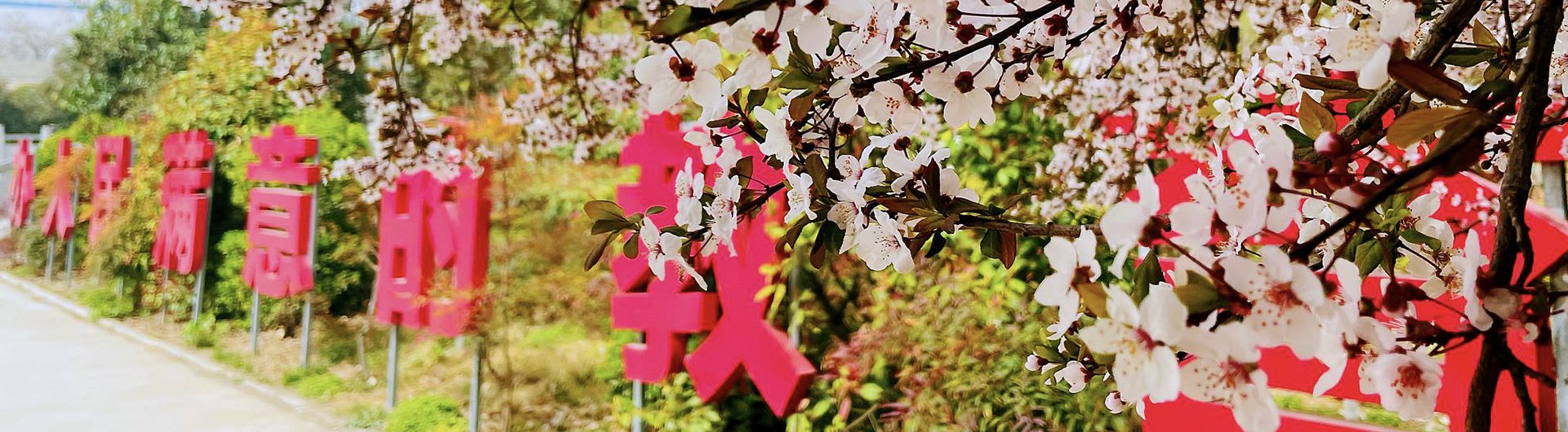 新密校区管委会主任崔明辰出席开学典礼